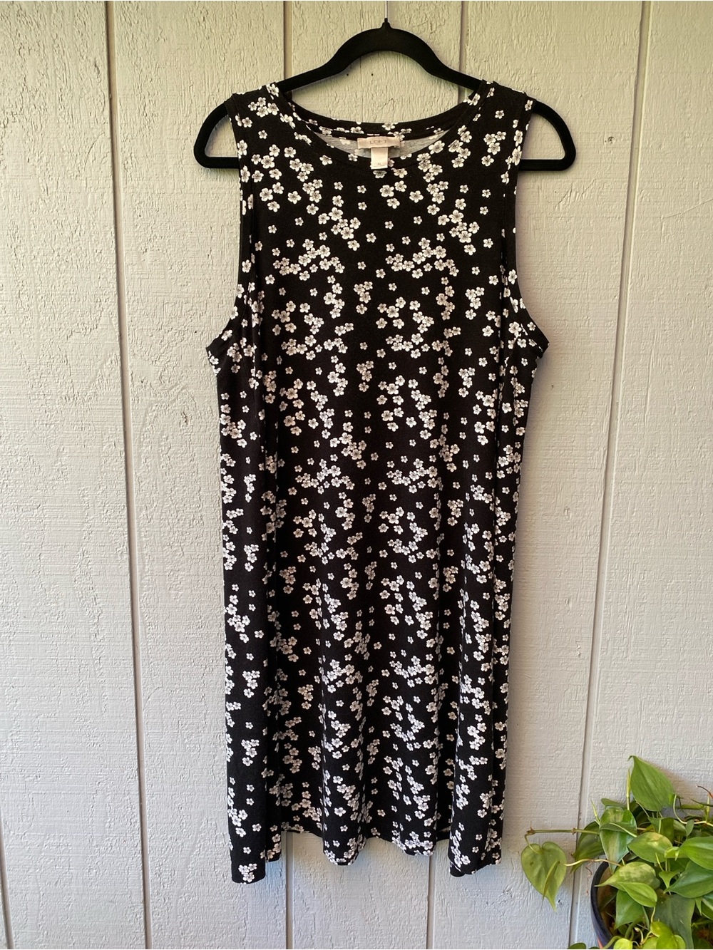 LOFT Black Dress with White Floral Print